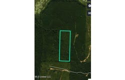 Thompson Rd, Louisville, MS 39339