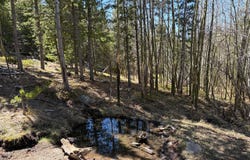 2174 Bear Gulch Rd, Red Feather Lakes, CO 80545