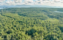 290 Pine Hill Road, Wolfeboro, NH 03894