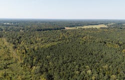 W Reynolds St, PONTOTOC, MS 38863