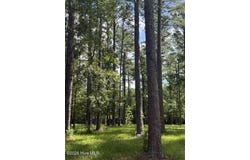 39 Corrolla Loop Road lot: 69/69A, Oriental, NC 28571