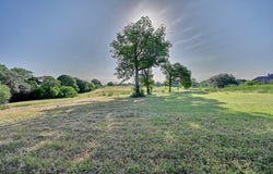2917 Twisted Oak Drive, Brenham, TX 77833