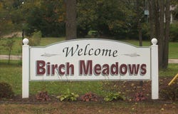 0000 Birch Meadows Lane, Handy Township, MI 48836
