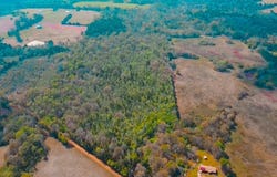 CR 4308 Reno Rd, Naples, TX 75568