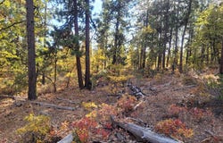 605 PINE CREEK Rd, Bickleton, WA 99322