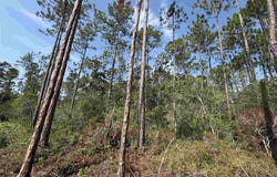 N 23rd Ave, Milton, FL 32583