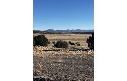 38 8626, Concho, AZ 85924
