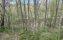 2175 Valley Gate Road, Milford, MI 48380