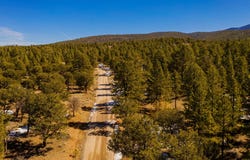 Forest Service Rd 450, Grants, NM 87020