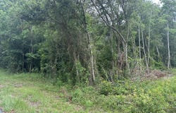 7904 Edgewater Boulevard, Ocean Springs, MS 39564