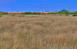 576 Seabourn Road, Henrietta, TX 76365