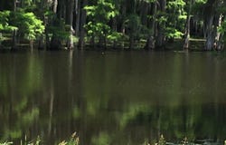 9206 DESIARD TRACE lot: 48, Sterlington, LA 71280