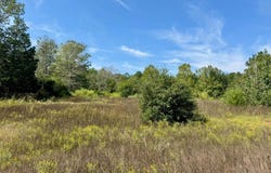 Tract 4 Private Rd 8385, Spurger, TX 77660