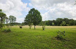 8081 FM 256, Colmesneil, TX 75938