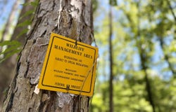 Sun Road Tract, Lake, MS 39092