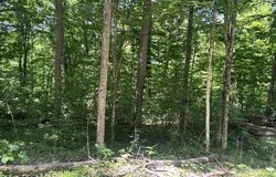 1 Godsey Avenue, Whitley City, KY 42653