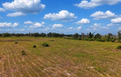 S CR 53, Lee, FL 32059