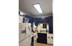 1215 WERTLAND ST, CHARLOTTESVILLE, VA 22903