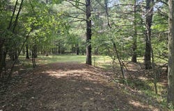 Berkshire Drive lot: 57, Gladwin, MI 48624
