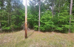 Dianthus Drive, Sparta, GA 31087