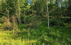 L46.111 Panarama Ln, Windham, NY 12496