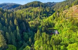 Upper N Ford Rd, Florence, OR 97439