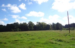 3334 Housen Hollow, Bronson, TX 75930