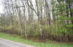 V/L Pratt Road, Ossineke, MI 49766