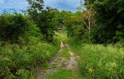 Puente, Camuy, PR 00627