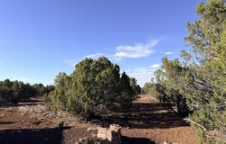 9070 PINTO Trail, Show Low, AZ 85901
