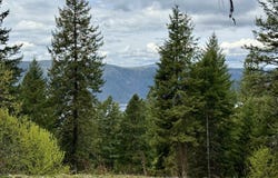 Lakeview Rd, Orofino, ID 83544