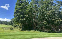 863 Aronimink Drive, Harbor Springs, MI 49740