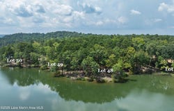 2653 Sturdivant Rd, Jacksons Gap, AL 36861
