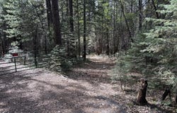 Dandelion Drive, Shingletown, CA 96088