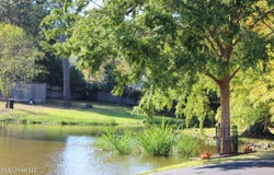 550 Post Road lot: 211, Ridgeland, MS 39157