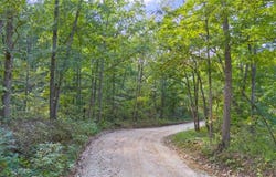 80 +/- Acres Proctor Lane, Gravois Mills, MO 65037