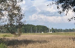 Warham Dr., Georgetown, SC 29440