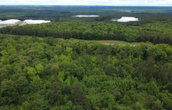 Highway 280, Dadeville, AL 36853