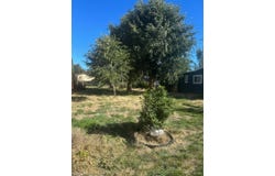 111 W D Street, Tehachapi, CA 93561