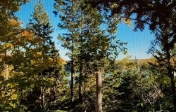 Lead Mine Road, Lubec, ME 04652