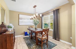 10317 GEESE TRAIL Circle, RUSKIN, FL 33573