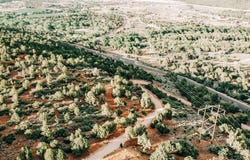 Juniper Way, New Harmony, UT 84757