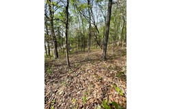 3539 Red Oak Drive, Imperial, MO 63052