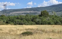 Lone Cone Meadows Lane, Norwood, CO 81423
