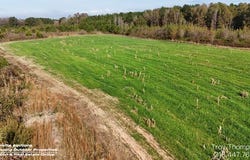Burke Road, Hessmer, LA 71341