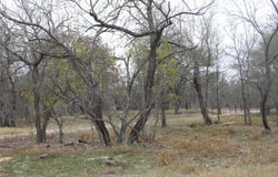 3816 FM 1854, Dale, TX 78616