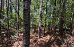 5 AC Terry Drive Highway, Union, SC 29379
