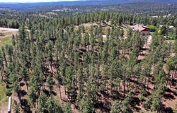 13752 Borglum Rd, Keystone, SD 57751