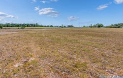 22 ACRE County Road 47, Dutton, AL 35744