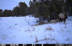 County Road 325, Rifle, CO 81650